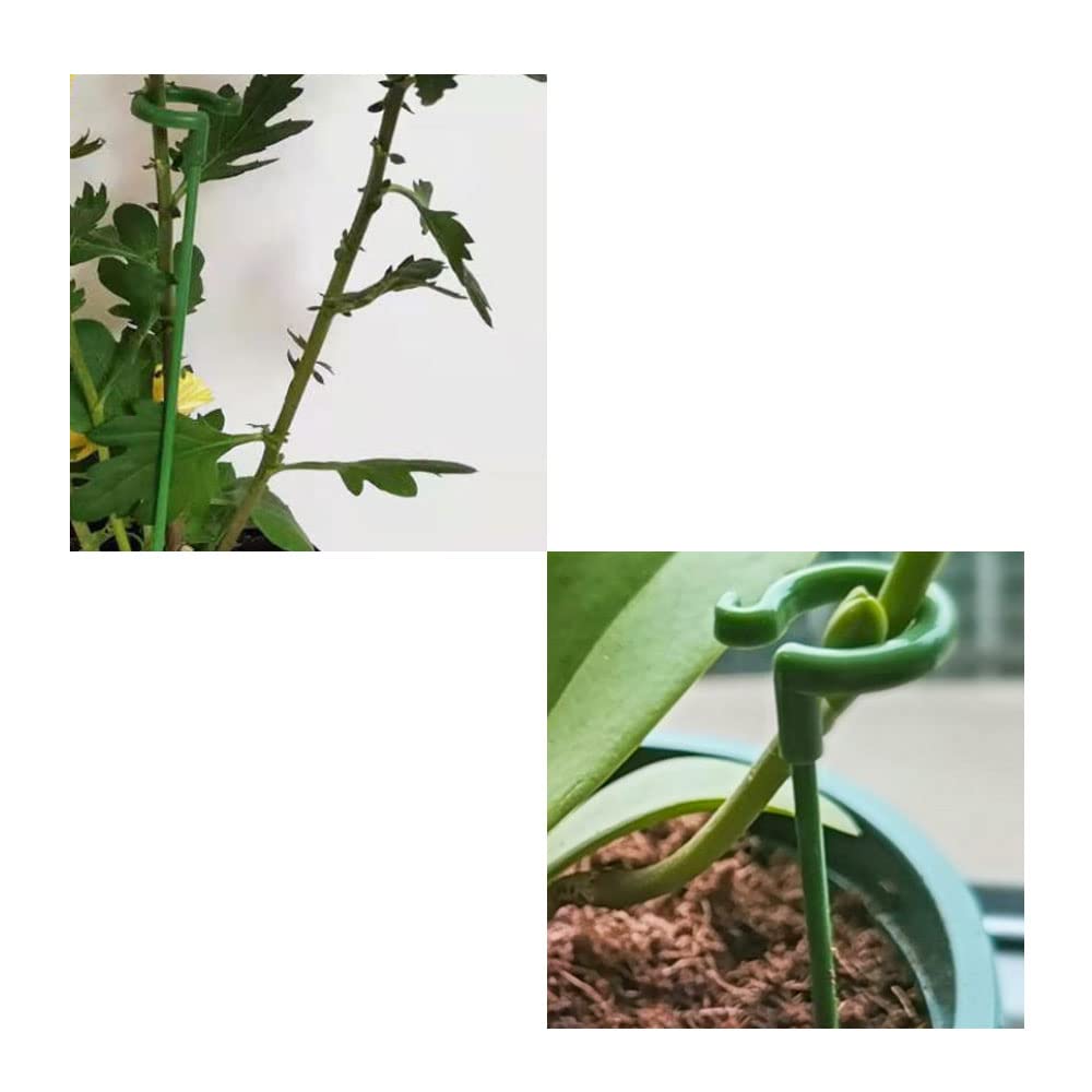 LOT DE 20 Tuteurs De Support Pour Plantes : Tuteurs De Jardin à Tige