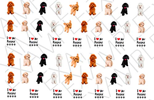 Poodle Dog Water Nail Art Transfers Stickers Decals - Set of 52 - A1307