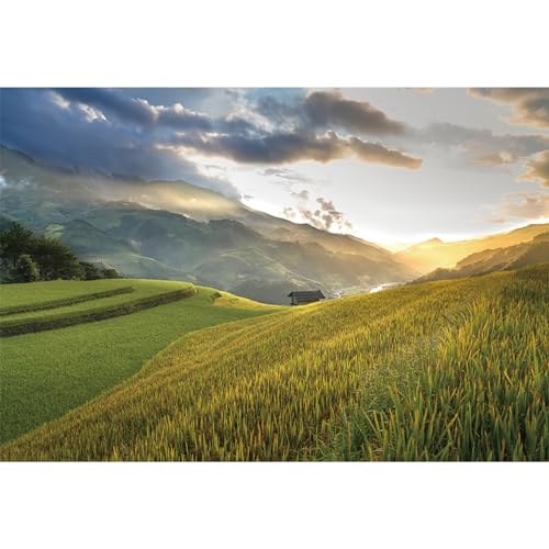 MIRRORANG 2,2x1,5m Natural Landscape Backdrop Forest Mountain View Meadow Countryside Photography Background Rural Life Vacation Tourism Photo Studio Props Wallpaper