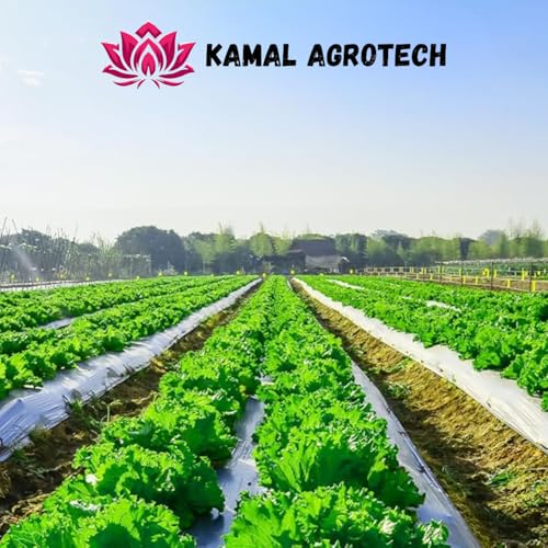 Kamal Agrotech Mulching Sheet 1m x 400m - Image 5