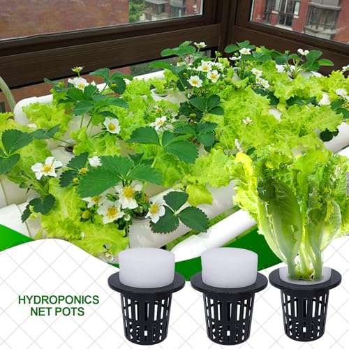 Macetas hidropónicas solucionan la falta de espacio cultivando sin tierra 3