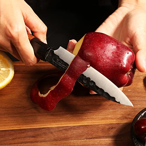 Petty Knife - 5 Inch Kitchen Utility Knife, Fruit Paring Knife, Forged From 9Cr18Mov Clad Steel, Sharp Cutting Knife For Vegetable And Meat W/ Wooden Handle - Gift Box (Utility Knife) #TOP4
