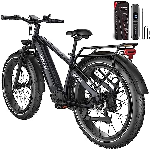 Himiway Zebra Step Over with Electric Bike Inflator
