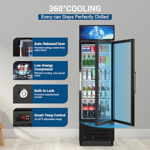 ETL & DOE Certified Commercial Beverage Refrigerator 14.8 Cu Ft, Commercial Display Fridge with Glass Door, Upright Merchandiser Refrigerator Cooler with Front LED Light for Stores, Restaurant, Office - Image 5