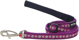Red Dingo Designer Dog Lead, Small, Daisy Chain Purple