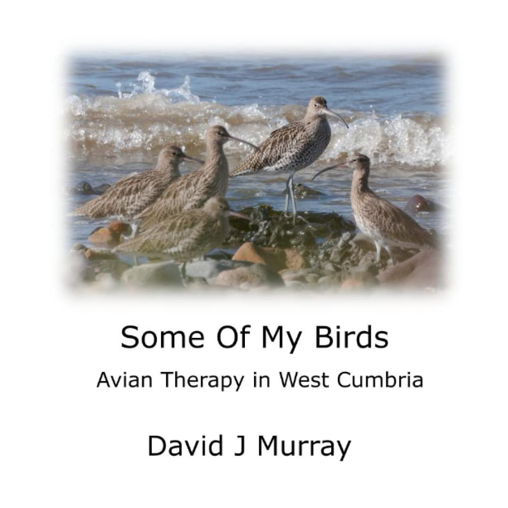 Some Of My Birds: Avian Therapy in West Cumbria