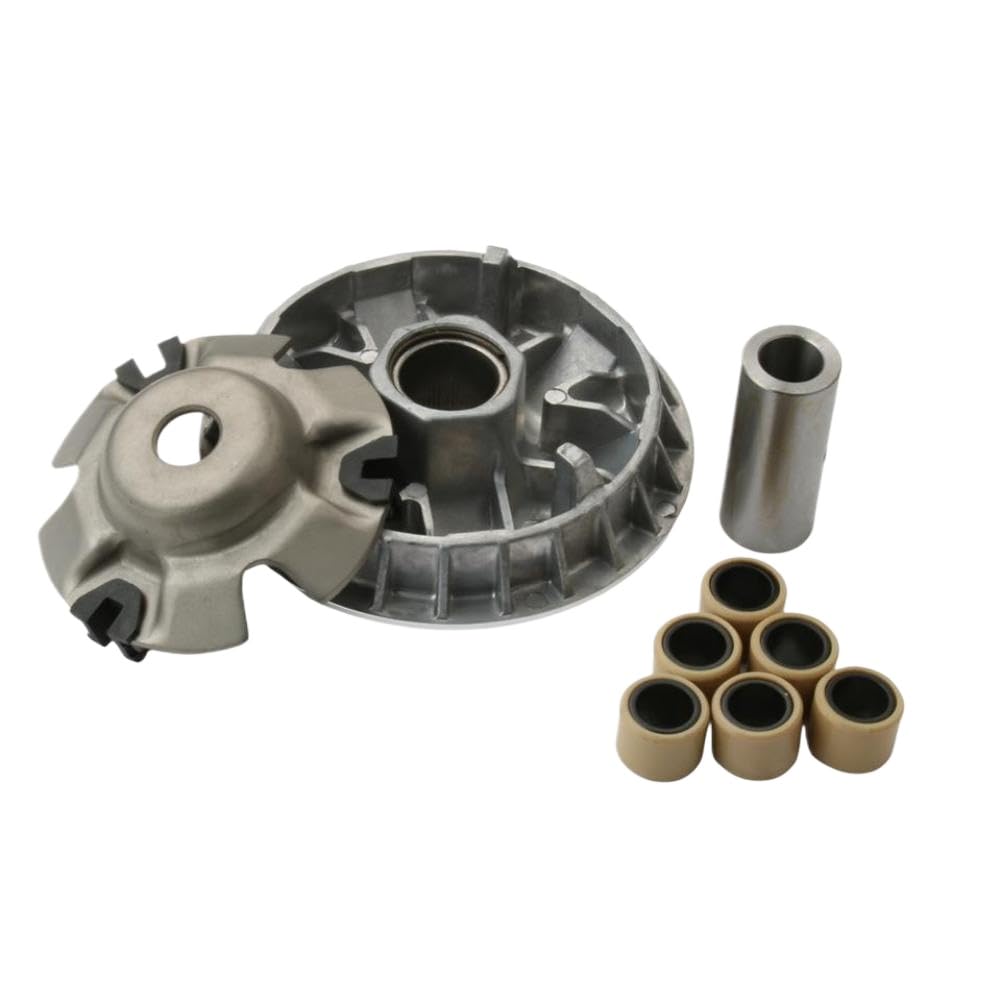 Juego de rodillos variadores de 18,2 g de peso compatible con Arctic 250 2x4 DVX 250 cc ATV de 4 tiempos