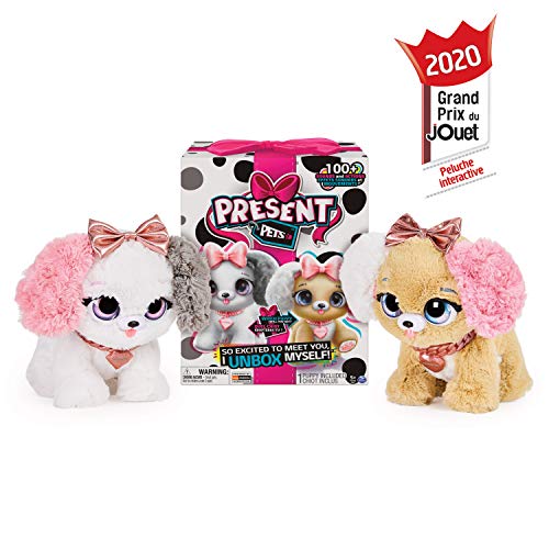 Present Pets – Peluche Interactive Fancy Pups – Peluche Chien Surprise à Découvrir avec Modèle Aléatoire – Chien Interactif avec Effets Sonores et Mouvements – 6051197 – Jouet Enfant 5 Ans et +
