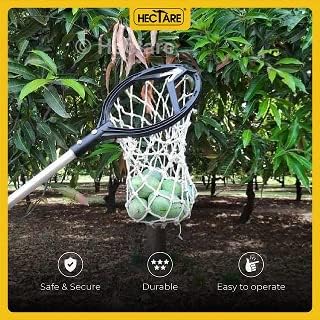 Image of Hectare Precision 3-in-1 Tree Pruner & Fruit Picker Set - 10ft Telescopic Pole, Detachable Saw Blade, Mesh Net Head, and Anvil Pruning Shears - No-Ladder Harvesting & Trimming Solution