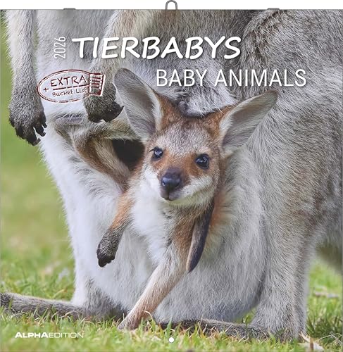 Alpha Edition - Tierbabys Kalender 2026 – Wandkalender 30×30 cm (30×60 geöffnet) als Broschürenkalender mit 12 Tiermotiven, Kalender mit Platz für ... Geschenk für Tierliebhaber: Baby Animals