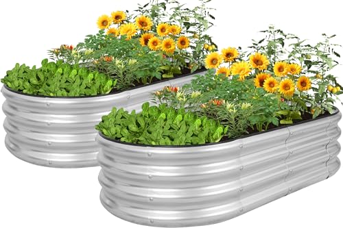 HEALSTOK 2stück Galvanisiertes Hochbeet Kit, 120x60x30cm Metall Pflanzkasten für Gemüse, Blumen & Kräuter - Outdoor Gartenarbeit mit einfacher Montage(Silber, 120x60x30cm/2stück)