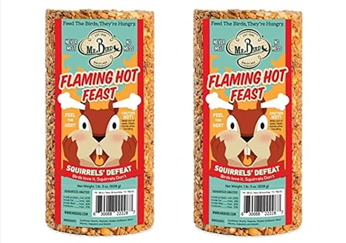 2-Pack of Mr. Bird Flaming Hot Feast Small Cylinder 19 oz.