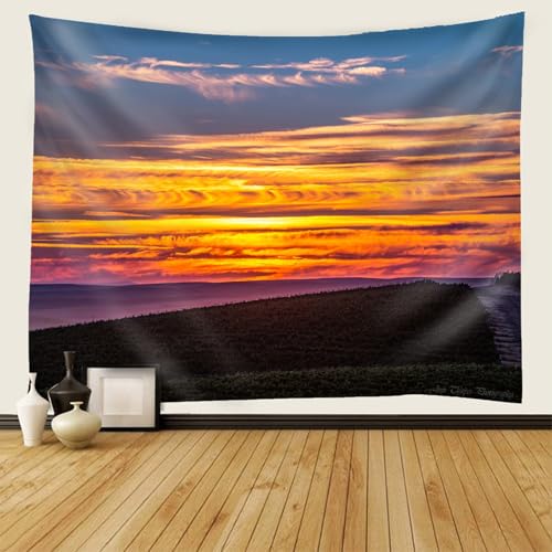 Tela para colgar en la pared de 150 x 150 cm lavable y resistente para decoración exterior 2