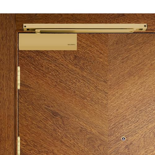 Buildskill Hydraulic Door Closer with Pelmet Arm & PVD Cover, Door Closer for Wooden Door, Aluminium, Metal, Automatic Door Closer for Home, Door Stopper, Adjustable Speed, 110 Kg, Antique (Pack of 2) (B0CNXVH9X9) Amazon Price History, Amazon Price Tracker