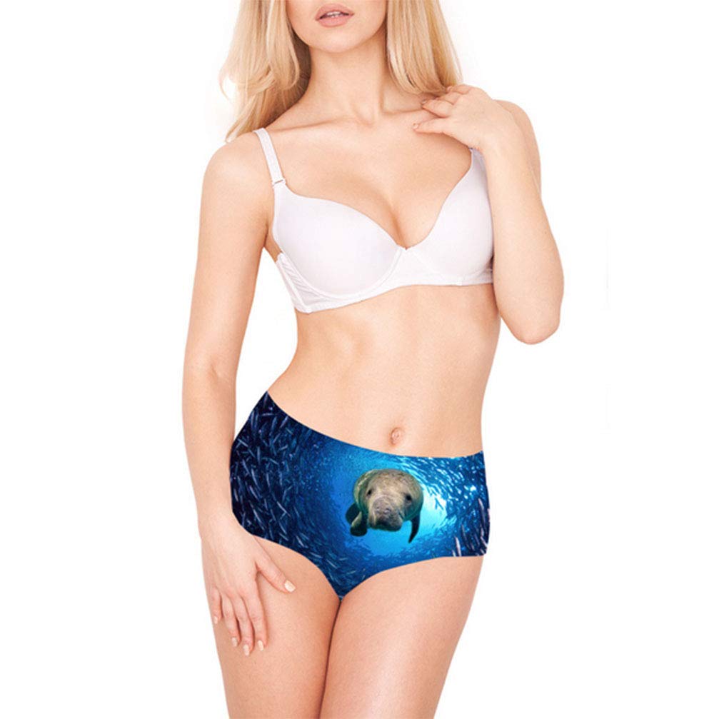 Bluedream Ladies Underwear Printing High Waist Knickers Underwear Panties for Women Multipack