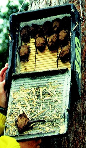 Schwegler Naturschutzprodukt Fledermaus Nistkasten Nisthöhle Fledermaushöhle 1FF mit eingearbeiteter Holzrückwand aus Holzbeton Höhe 43 cm