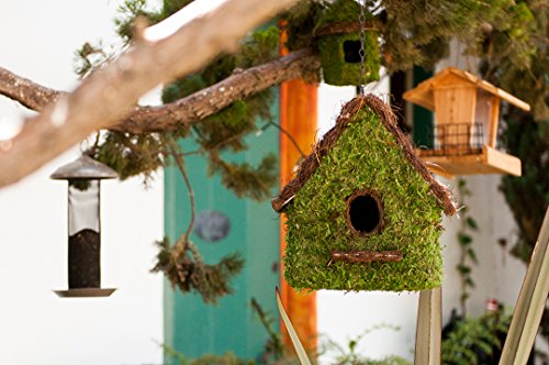 SuperMoss (56012) Maison Birdhouse with Chain, 11 by 12-Inch, Fresh Green - Thumbnail 2