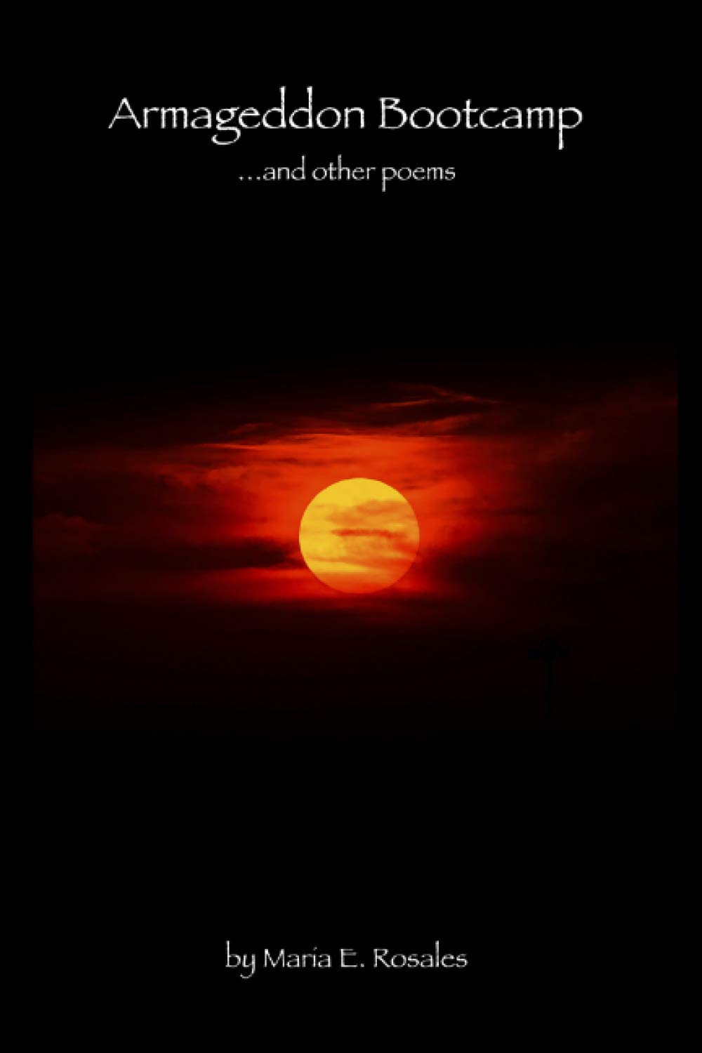 Armageddon Bootcamp: and other poems