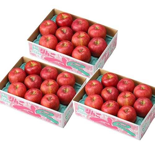 お歳暮 りんご サンふじ 3kg×3箱 風のいたずら ちょっと訳あり 大きさおまかせ 長野県産 信州高山さわやかりんご 林檎 リンゴ