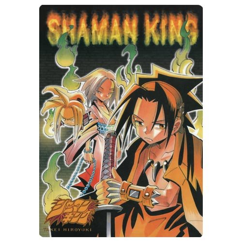 シャーマンキング 抽プレ ポスター 根付 ジャンフェス カード トレカ シール シャーマンキング 抽プレ ポスター 根付 ジャンフェス カード トレカ