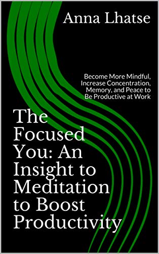 The Focused You: An Insight to Meditation to Boost Productivity: