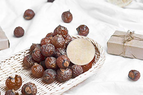 Naturevibe Botanicals Soapnut Powder 8Oz And Papaya Leaf Powder 8Oz| Herbal Powder Combos #TOP4