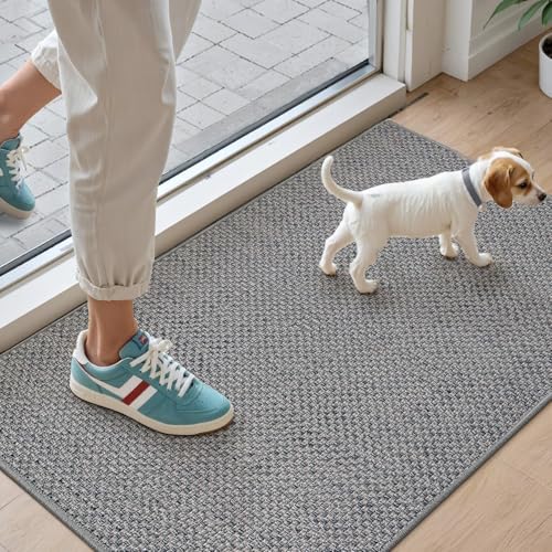 DEXI Schmutzfangmatte Innen 44 x 76 cm, rutschfest Fußmatte waschbar, absorbierend Fussmatte, Dünne Türmatte Eingangsteppich für Haustür & Flur, Grau