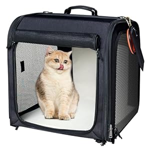 Extra Large Cat Carrier for 2 Cats,Expandable Cat Travel Carrier,Small Dog Soft Sided Collapsible Carriers with Foldable Bowl/Washable Mat/Tent Stakes for Kitten,Rabbit,Puppy,Small Animal