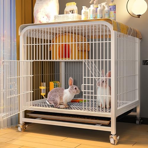 Conigliera da interno per 2 conigli, per furetto/cincillà/gattino, con tetto, recinto per piccoli animali