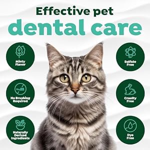 TropiClean No Brush Cat Toothpaste | Cat Dental Gel | Bad Breath Remedy | Cat Dental Care | Made in the USA | 2.2 oz. TropiClean No Brush Cat Toothpaste | Cat Dental Gel | Bad Breath Remedy | Cat Dental Care | Made in the USA | 2.2 oz.