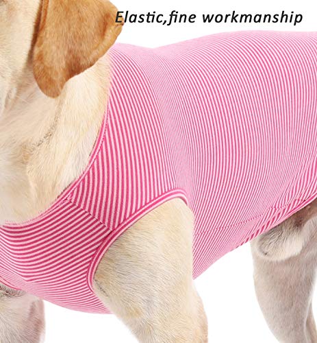 T-shirt en coton pour chien Weone vert rose rayé vêtement taille M