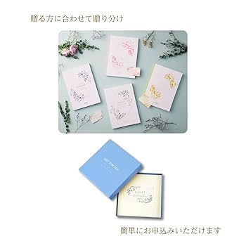 【お得】カタログギフト　エレナ2 Amazon｜エレナ（カードタイプ） カタログギフト お返し お祝い