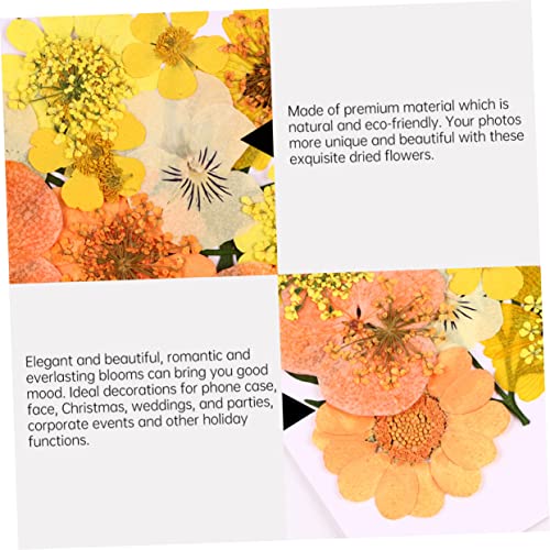 Kit de 40 flores prensadas secas Angoily para manualidades miniatura 7