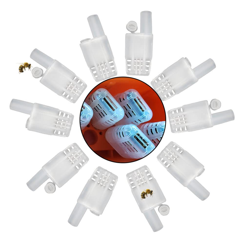 20pcs Queen Bee Cages Plastic Transporting Catcher Non-Grafting Beekeeping Queen Cage Beekeeping Rearing Cup Kit for Indoor Home Outdoor