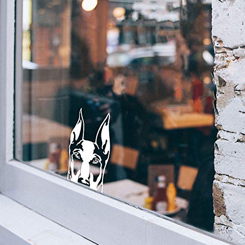 Image of WIRESTER 6 inch Clear Vinyl Decal Sticker Decoration for Car Window (Or Any Flat Surface) - Doberman Pinscher Dog