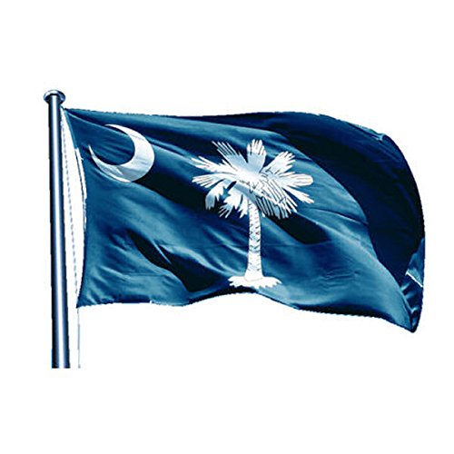Clemson Tigers University Large College Flag