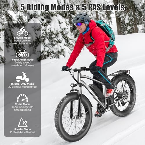 Loeook 1000W Peak Electric Mountain Bike