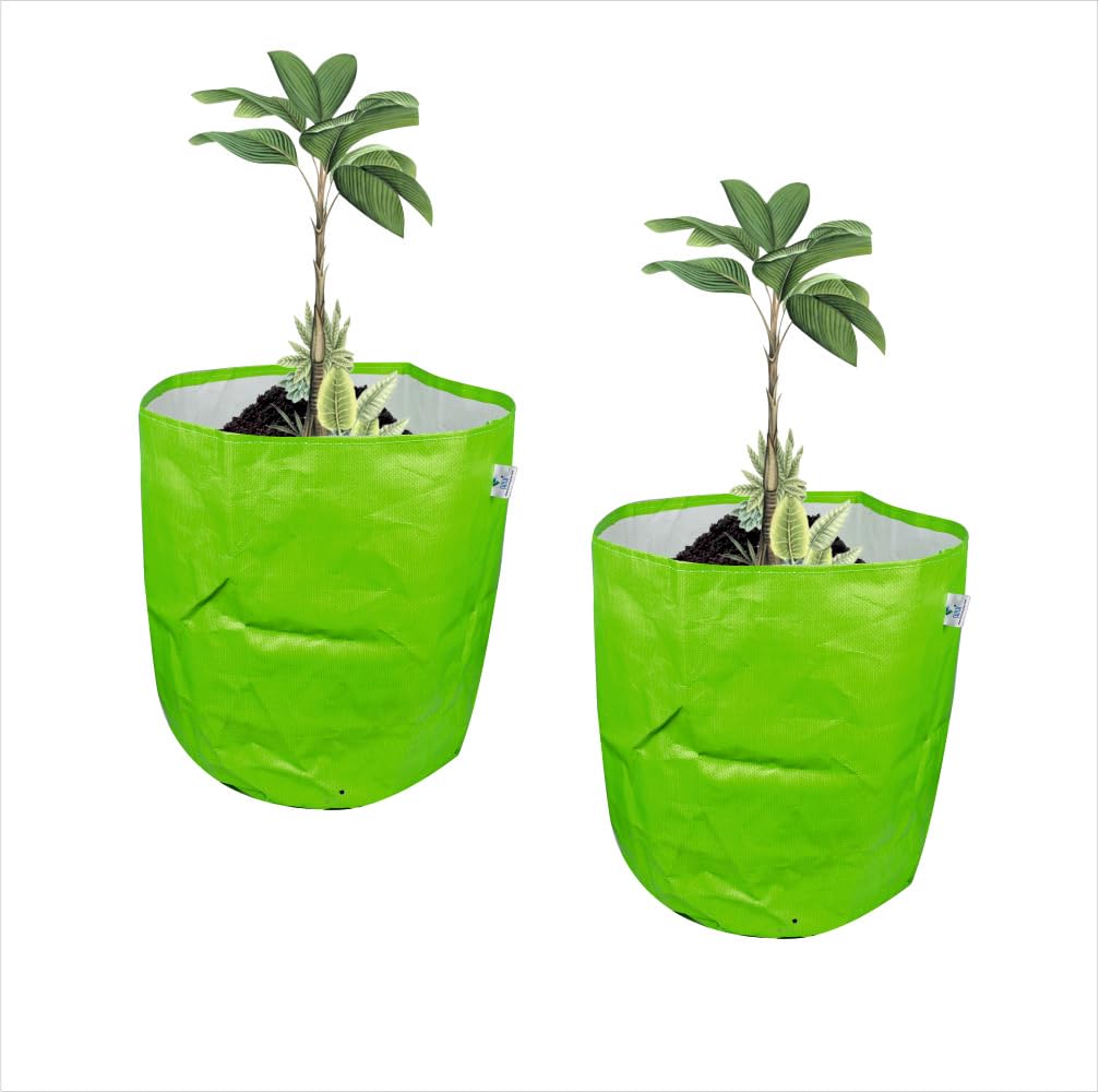 Shish Hdpe Uv Protected 250 GSM Round Green Colour Plants Grow Bags Suitable for Terrace and Vegetable Gardening (24 x 24 INCH, Pack of 2) (B0CNT4TBP5) Amazon Price History, Amazon Price Tracker