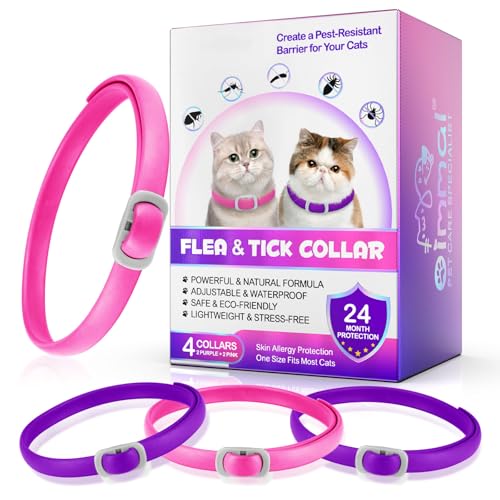 Zecken‑Flohhalsband Katze – 24 Monate Schutz, verstellbares Katzen Halsband, hautfreundliches flohhalsband Katze, wasserdichtes zeckenhalsband für Katzen (Rosa + Lila, 4 Stück) Zecken‑Flohhalsband Katze – 24 Monate Schutz, verstellbares Katzen Halsband, hautfreundliches flohhalsband Katze, wasserdichtes zeckenhalsband für Katzen (Rosa + Lila, 4 Stück)