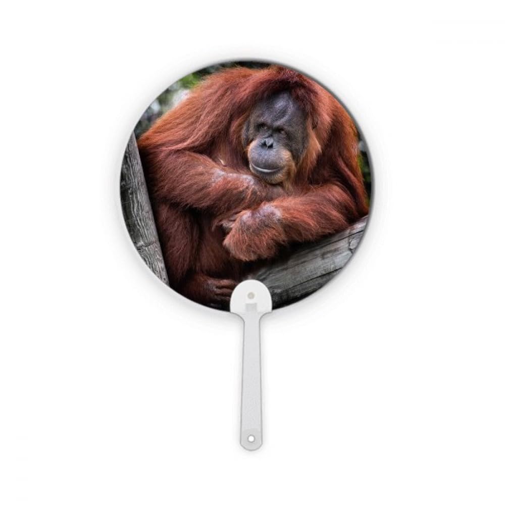 Éventail rond orang-outan en plastique pour décoration de table