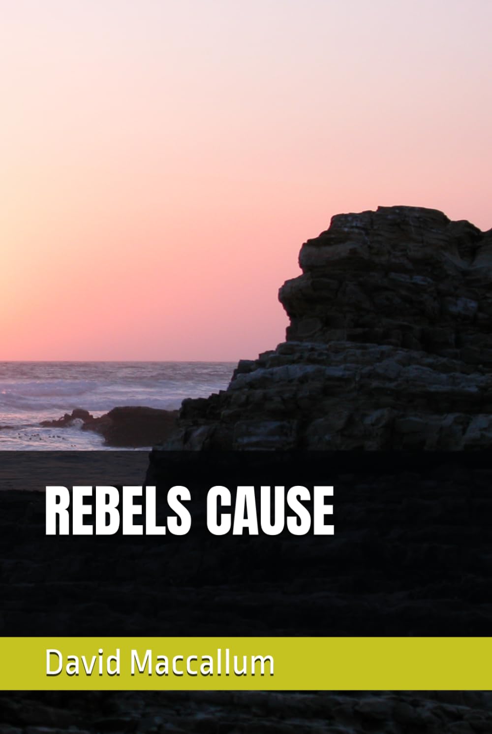 REBELS CAUSE