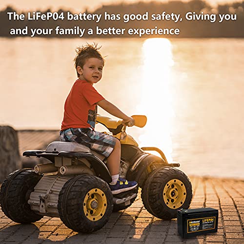 Nermak 12V 10Ah LiFePO4 2-Pack
