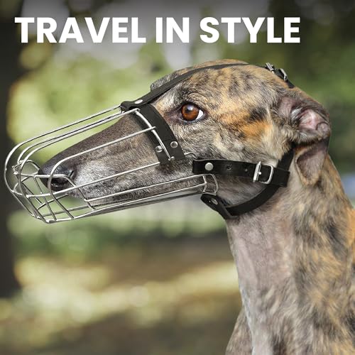 BRONZEDOG Drahtkorb Hund Maulkorb Metall Hund Maulkorb Leder verstellbar (Size 8: Greyhound & Collie)