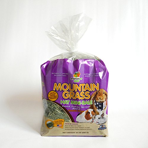 Buy Mountain Grass Hay 24 Ounces Online at Low Prices in India Amazon.in