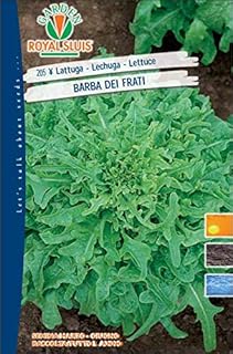 Amazon It Barba Piante Semi E Bulbi Giardino E Giardinaggio