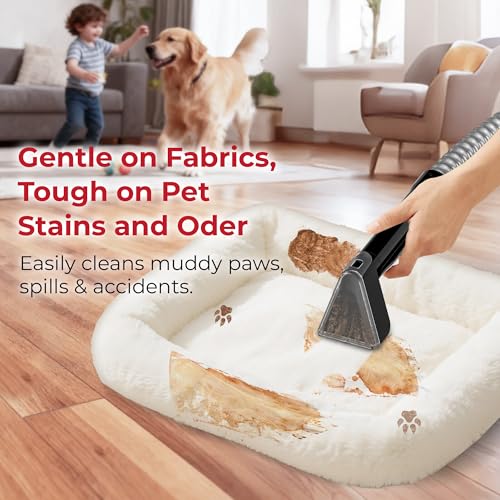 Image of Rosewill Multi-Purpose Portable Carpet and Upholstery Cleaner, Powerful Suction 18 KPa Spot Cleaner, 600W Motor, Car and Auto Detailer, Stain /Spot Remover; Versatile Use: Carpet, Sofa, Pet Hair