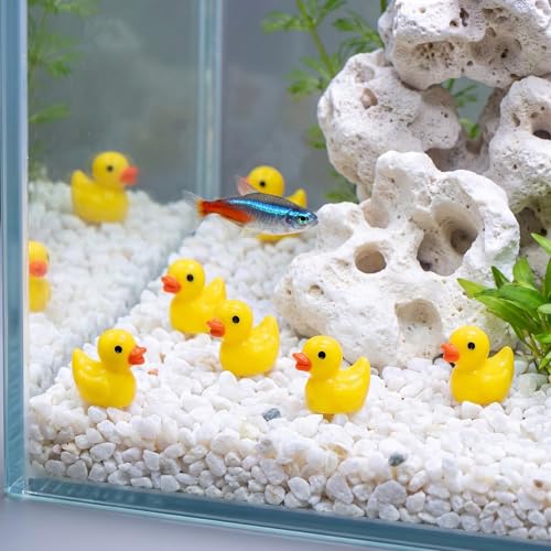 Image of Goaste 300 Pieces Mini Resin Ducks, Tiny Yellow Duck Figurines, Cute Duck Miniatures Bulk for Cake Decoration, School Project Accessories, DIY Crafts, Fairy Garden Landscape Aquarium Decorations