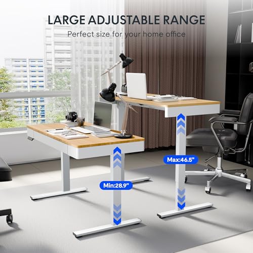 Image of FLEXISPOT Standing Desk with Drawer, 48 x 24 Inch Electric Adjustable Height Stand Up Desk with Storage Organizer, Whole Piece Wooden Desktop for Home, Office, Computer Workstation, Maple