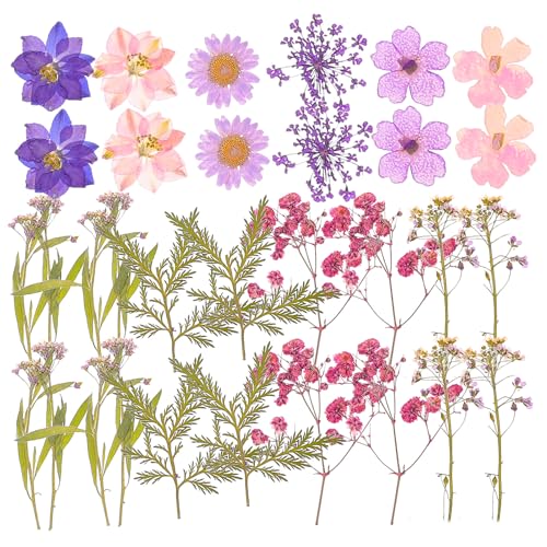 Kit de Flores Secas y Presionadas para Manualidades 27 piezas miniatura 1