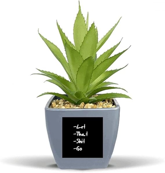 DIYthinker Let That Go Funny Quote Fake Pineapple Flower